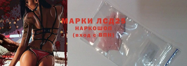 мдпв Пестово