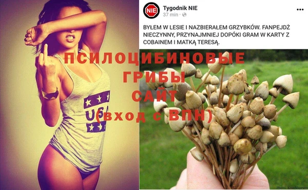 спиды Покачи