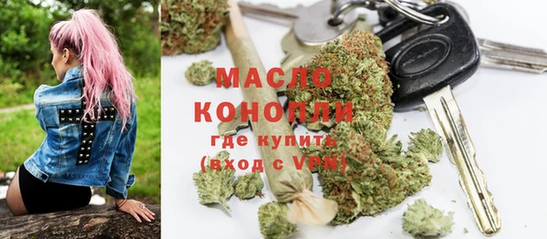мдпв Пестово